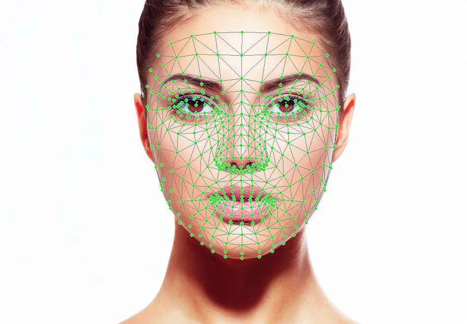 Facial landmark mesh over a face