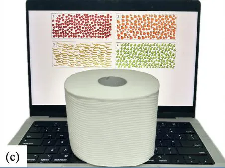 The peeping paradigm: a laptop showing fruit arrays with the answer hidden behind a roll