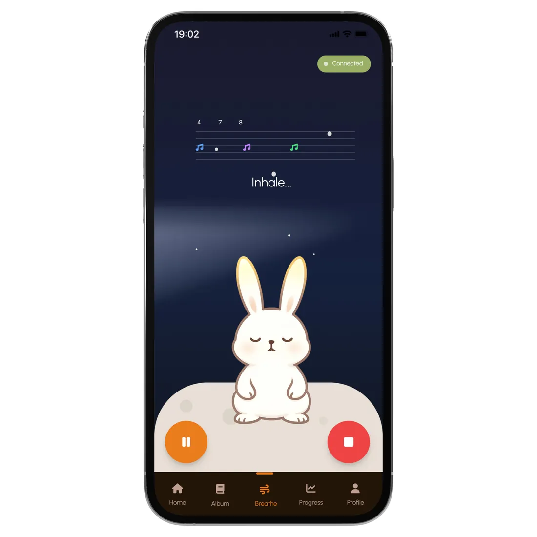 App home screen with the rabbit companion